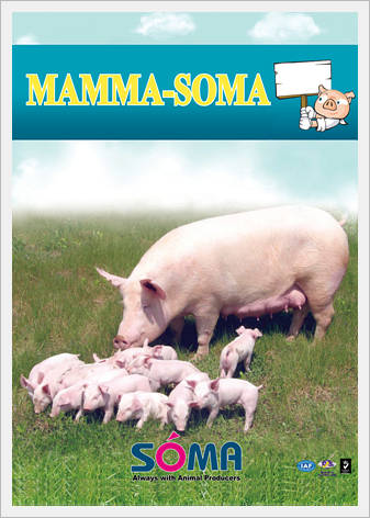 MAMMA-SOMA(Sow Milk Stimulator)  Made in Korea